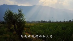 Essay taking a walk reads aloud _ music short