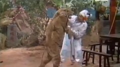 1986 tigers year Tan Yonglin of _ of program of pa