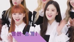 [Interlocution automat] the earnestly of problem o