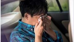 " dog soon popular feeling " " the family that