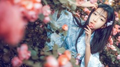 China is classic and handpick " light music of la