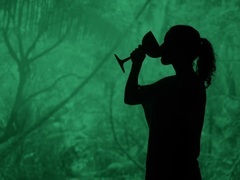 Jim Jones_ Euramerican galaxy