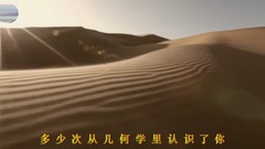 Clingy " one belt all the way " great new pionee