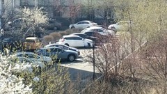 [vernal colour] scenery of fabulous work _ , forme