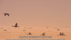 " our heavenly body " Euramerican galaxy of _ of