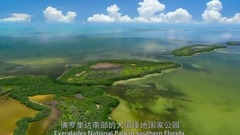 " our heavenly body " Euramerican galaxy of _ of