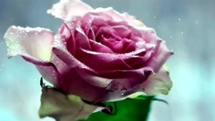 The Mirror Of One's Heart_New