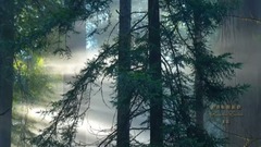 REFLECTIONS EMOTIONS - Yakuro? LONA_ scenery, musi