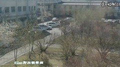 [the desire in spring] scenery of fabulous work _ 