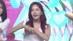 Mellow Mellow&18/08/18_Berry Good of edition of sp