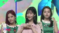 18/08/18_Berry Good of edition of spot of Green Ap