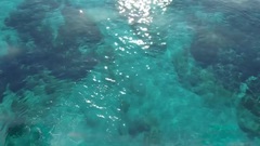 Euramerican galaxy of Gianluca Vacchi - Come On An