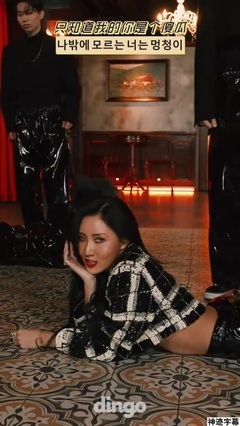 Caption of Sino-South Korean of Hua Sha TWIT DINGO