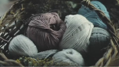 Galaxy of Tricolor Lorient_ Japan