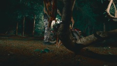 Abena_ Euramerican galaxy