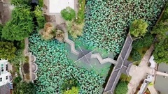 A future life wishs to make short film of music of