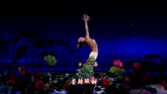 A future life wishs to do a lotus 2015 video of da