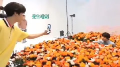 [BTS wisdom   ] the wisdom    that pretends to tak