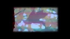 Fear_ Euramerican galaxy