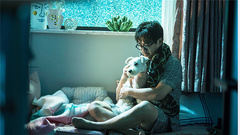 " dog soon popular feeling " " Ni cardamom seed