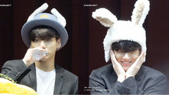 Aladdin signs the cropland    country that wears l