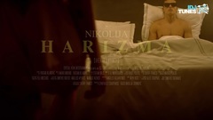 HARIZMA_ Euramerican galaxy