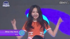 Army of WHAT THE HECK - arouses put together of Ko