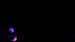 ペ of ル of エ ウ テ moves galaxy of Japan of _ of