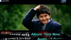 MTV_Johnny Depp of amative content language