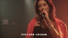 Love galaxy of _ of caption of Chinese of edition