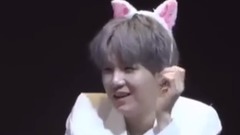 Because of eldest brother abrupt Freestyle is love