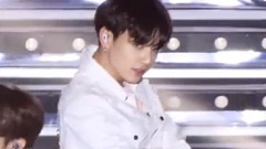 IDOL advocate cropland    country country of    of cropland of 19/04/28_ of SBS optical administrati