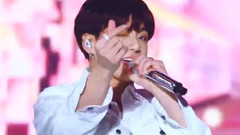 Boy With Luv advocate cropland    country country of    of cropland of 19/04/28_ of SBS optical admi