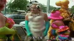 Peaceful shadow " grab after money is hot " gala