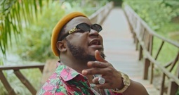 ALIONA_ Euramerican galaxy