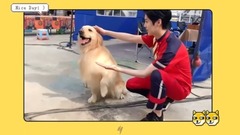 Of the small theater that does business suddenly \