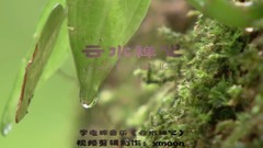 Scenery of _ of Yun Shuichan heart, musical short, light music, li Zhihui, happy use a town