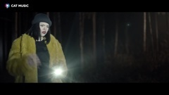 BTW _ Euramerican galaxy