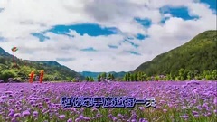 Make Zhejiang of reason of your generation love sa