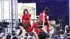 Night - COEX C-Festival advocate - meal of art bea