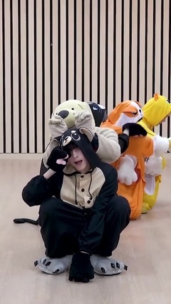 Cat&Dog practices galaxy of Focus_ of room edition