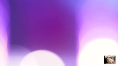 Navillera - Hana Blue Concert advocate - meal of a