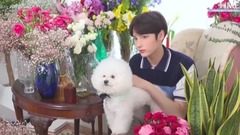 Cat &Dog Jacket Shooting_TXT