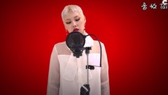 _Cheetah of flight the second edition