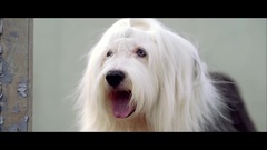 [MV] NAVID - Going Gourmet, just The Two Of Us_Nav