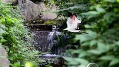 The world of love I and you - galaxy of Chinese of