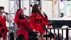 Art beautiful jade - Love Bug 2019C Festival is ce