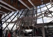 Iron tower of dust humble Er exhibits dinosaurian