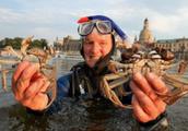 Chinese crab introduces Germany, ever did not want