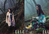 Newest cover illuminates Yang Mi, netizen: The gre